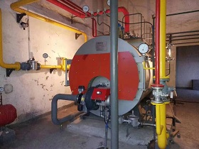 河南鹿邑酒廠(chǎng)一噸燃?xì)庹羝仩t